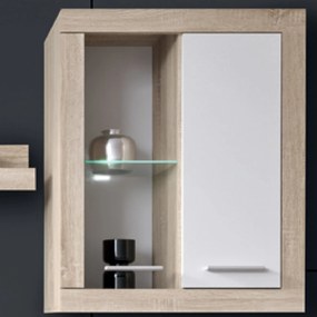 Sconto Obývacia stena SHARK MINI dub sonoma/biela