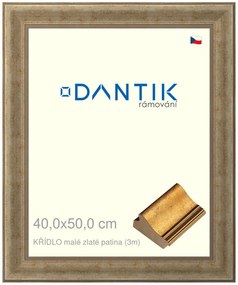 DANTIK rám na obraz 40x50 | KŘÍDLO malé zlaté patina (Sklo Čiré)