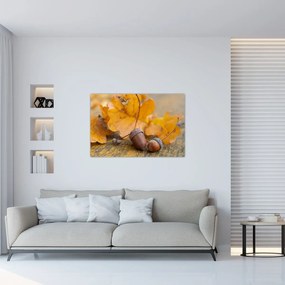 Obraz - Jesenné žalude (90x60 cm)