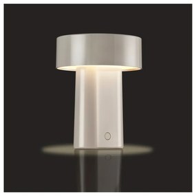 Sivobéžová plastová LED stolová lampa (výška 18 cm) Oblong – Zone