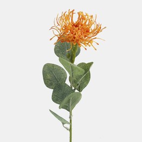 Schetelig Kvet Protea 45 cm, Oranžová
