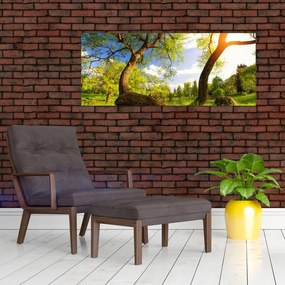 Obraz jarnej lúky (120x50 cm)