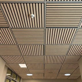 Drevený akustický panel pre stropnú rastrovú konštrukciu, 595 x 595 mm, B2BP008, balenie 4 ks, dub sonoma