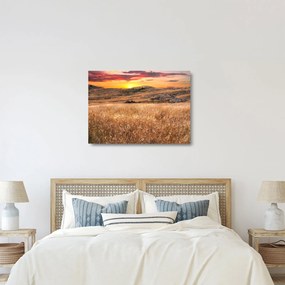 Sklenený obraz pole (70x50 cm)