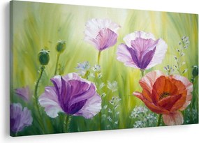 Obraz - Vlčie maky (90x60 cm)
