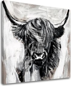 Obraz na plátne BÝK 001 60x60 cm