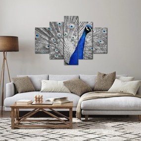Obraz - modrý páv (150x105 cm)