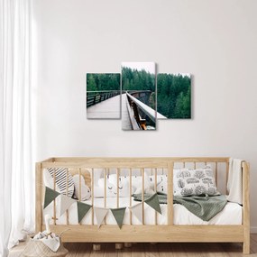 Obraz - Most k vrcholkom stromov (90x60 cm)