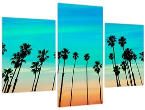 Obraz - Kalifornia (90x60 cm)