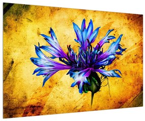 Obraz kvetu nevädze (90x60 cm)