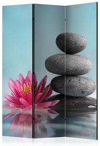 Artgeist Paraván - Zen Spirit [Room Dividers]