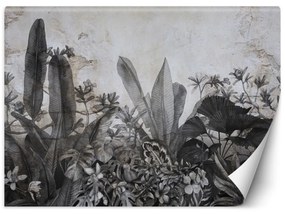 Fototapeta, Černobílé tropické listy na betonu - 300x210 cm