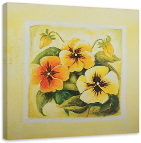 Obraz na plátně Květy macešek - 30x30 cm