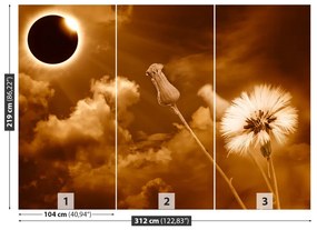 Fototapeta Vliesová Púpava slnka. 208x146 cm
