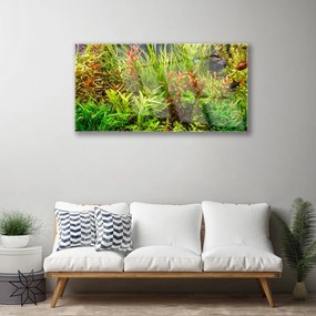 Skleneny obraz Akvárium rybičky rastliny 120x60 cm