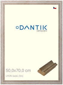 DANTIK rám na obraz 50x70 | LYON šedá (Plexi Čiré)