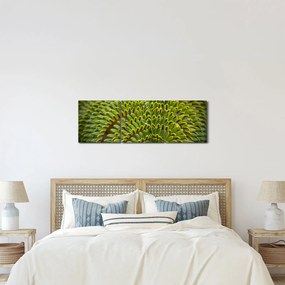 Obraz - Papraď (s hodinami) (90x30 cm)