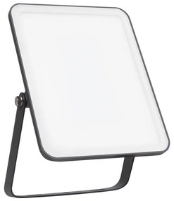 Ledvance - LED Vonkajší reflektor FLOODLIGHT ESSENTIAL LED/30W/230V IP65