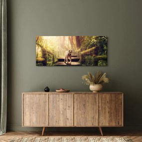 Obraz tigra (120x50 cm)