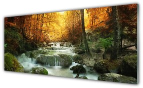Obraz plexi Vodopád príroda les jeseň 125x50 cm
