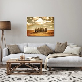Sklenený obraz čistinky (70x50 cm)