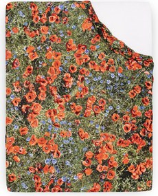 Plachta s gumou Hayka maky 200 x 220 cm