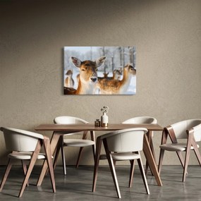 Obraz - Jeleňča (90x60 cm)