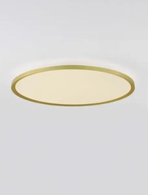 LED stmievateľné brúsené zlaté moderné stropné svietidlo Aoton 60