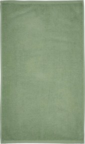 Zelený rýchloschnúci/froté bavlnený uterák 50x85 cm Quick Dry – Catherine Lansfield