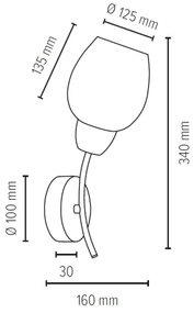 Spot-Light 8320174 - Nástenné svietidlo PARMA 1xE27/60W/230V