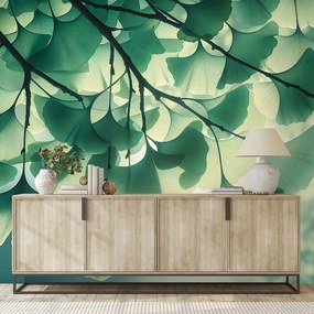 Samolepiaca tapeta zelené listy ginka v žiare svetla