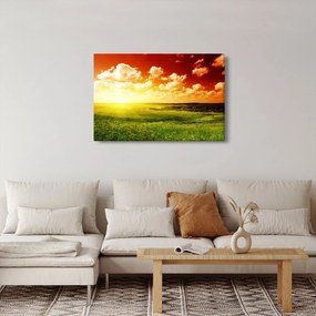 Obraz letnej lúky (90x60 cm)