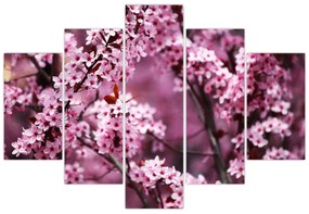 Obraz - Ružová sakura (150x105 cm)