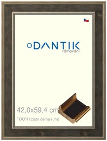 DANTIK rám na obraz 42x59,4 | TOOTH zlato černá (Plexi Čiré)