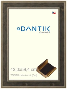 DANTIK rám na obraz 42x59,4 | TOOTH zlato černá (Plexi Čiré)