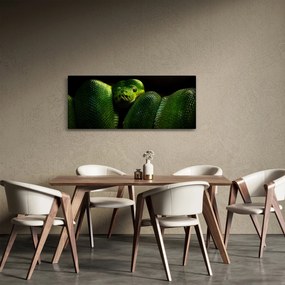 Obraz - Zelený had (120x50 cm)