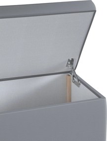 Truhlica čalúnená farba produktu sivá