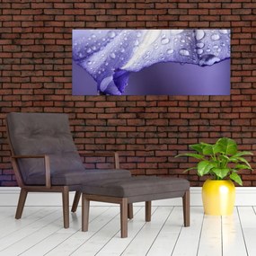 Obraz - Okvetný lístok s kvapkami (120x50 cm)