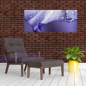 Obraz - Okvetný lístok s kvapkami (120x50 cm)