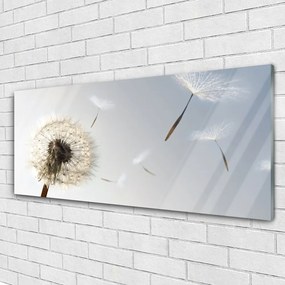 Obraz plexi Púpava kvety príroda 125x50 cm