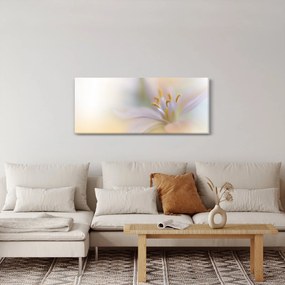 Obraz - Jemný kvet (120x50 cm)