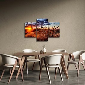 Obraz - Zlatá hodinka púšte (90x60 cm)
