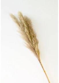 Umelá pampová tráva 115 cm