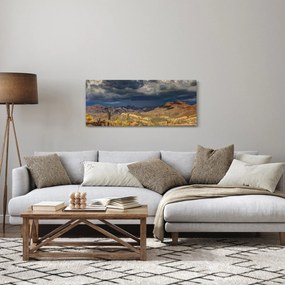 Obraz - kaktusy v prírode (120x50 cm)