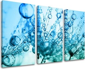 Obraz na stenu 3 dielny KVETY KV060E30 - 60x40 cm