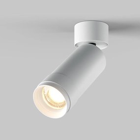 Stropné svietidlo MAYTONI FOCUS ZOOM C055CL-L12W4K-Z-W