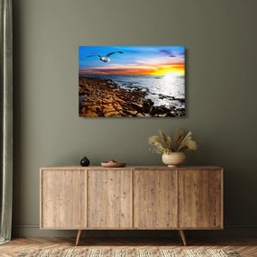 Obraz - Čajka letiaca nad pobrežím (90x60 cm)