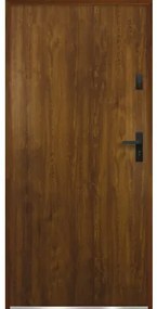 Kovové vchodové dvere P68 Artemida 90 P dub zlatý