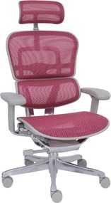 Grospol - Kancelárske kreslo Ergohuman 2 Elite GS Pink