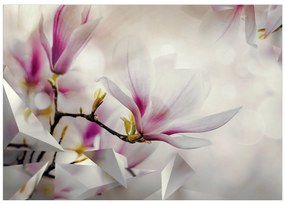 Artgeist Fototapeta - Subtle Magnolias - Third Variant Veľkosť: 196x140, Verzia: Samolepiaca